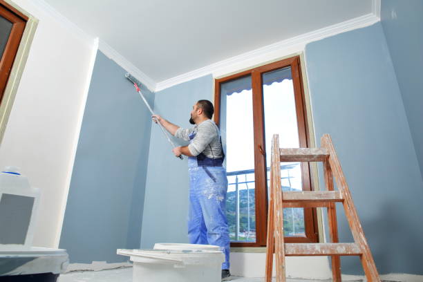 Best Drywall Sanding and Smoothing  in Westminster, CO